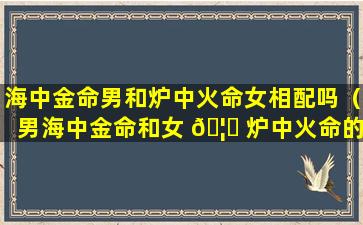 海中金命男和炉中火命女相配吗（男海中金命和女 🦉 炉中火命的婚姻如何）